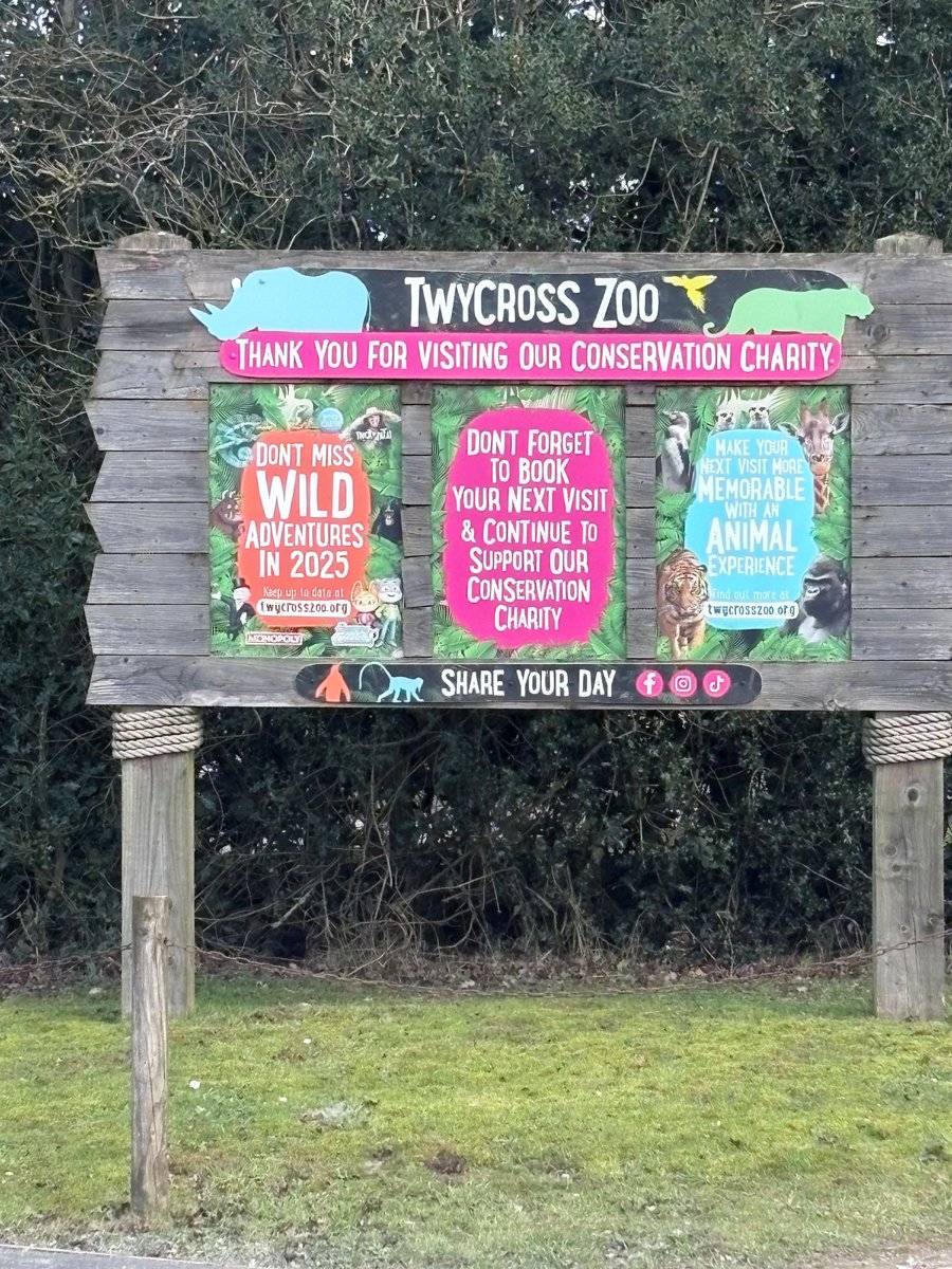 Addison Hunt tweet media