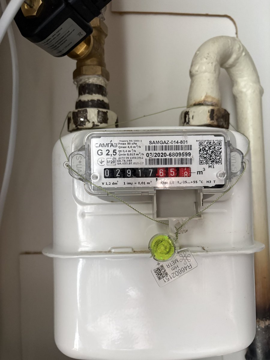 Аліна кітику сіренький tweet media