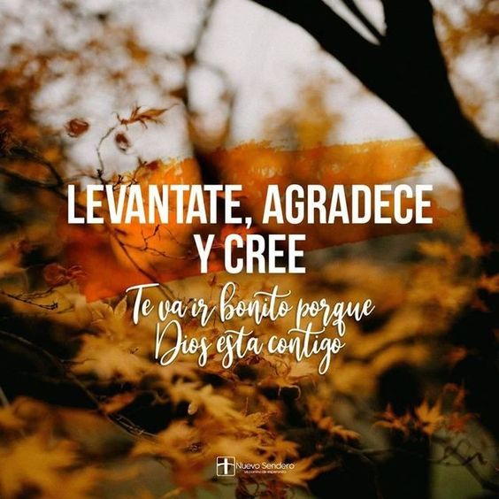 Loading... (@v_t_alachingada) on Twitter photo 