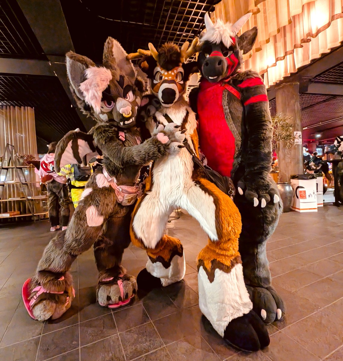 𝖓 𝖔 𝖓 𝖆 🦇 tweet media