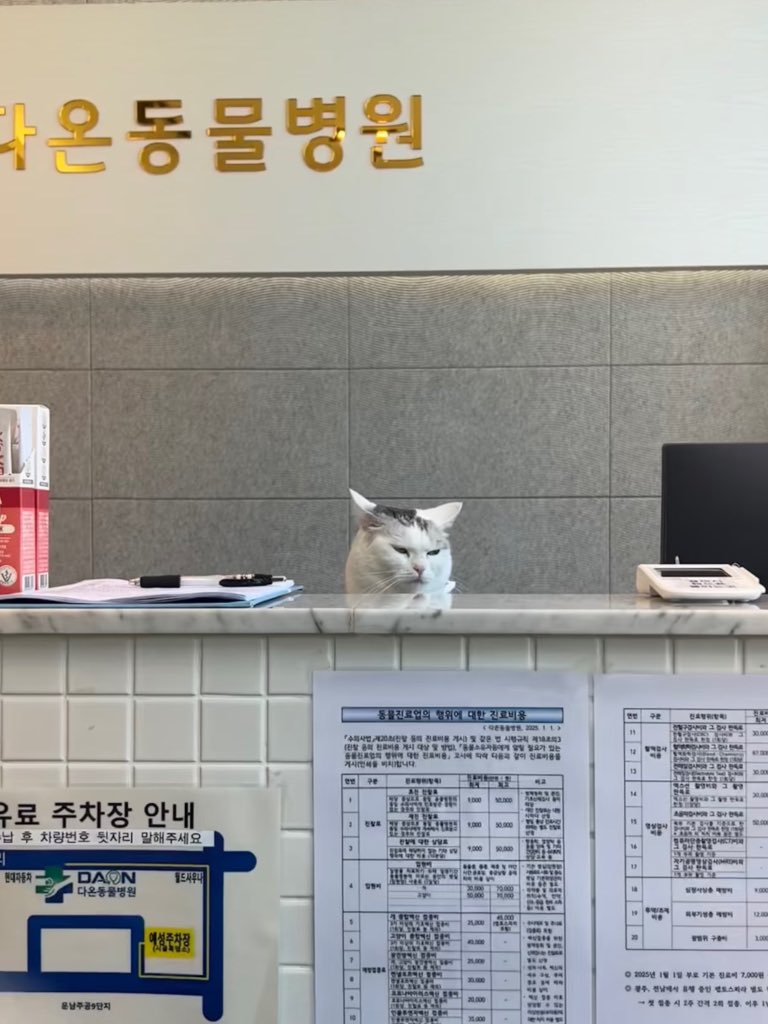 ชาวเน็ตเกาหลีพาน้องแมวไปโรงพยาบาลสัตว์ บอกคุณหมอบริการดีมาก แต่พนักงานต้อนรับหน้าตึงใส่คนไข้และญาติตลอด พร้อมบอกว่าถ้ามารอบหน้าไม่ยิ้มให้จะรีวิวให้ 1 ดาว 🤣🤣🤣
พนักงานต้อนรับ : ลองให้หนึ่งดาวดูสิ ฉันมีประวัติทุกคน 😤

ที่มาของรูป 📸 Daon Animal Hospital (다온동물병원)
#หมา #แมว