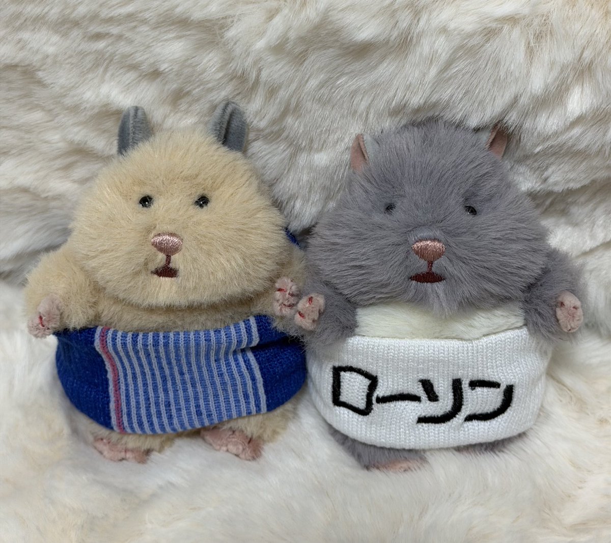 hamhamstarrrr's tweet photo. 似合ってるよ！ごまきち！きなこ！
#はむにぎり https://t.co/C8g9pvjfUC