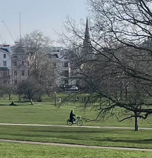 The Booby tweet media