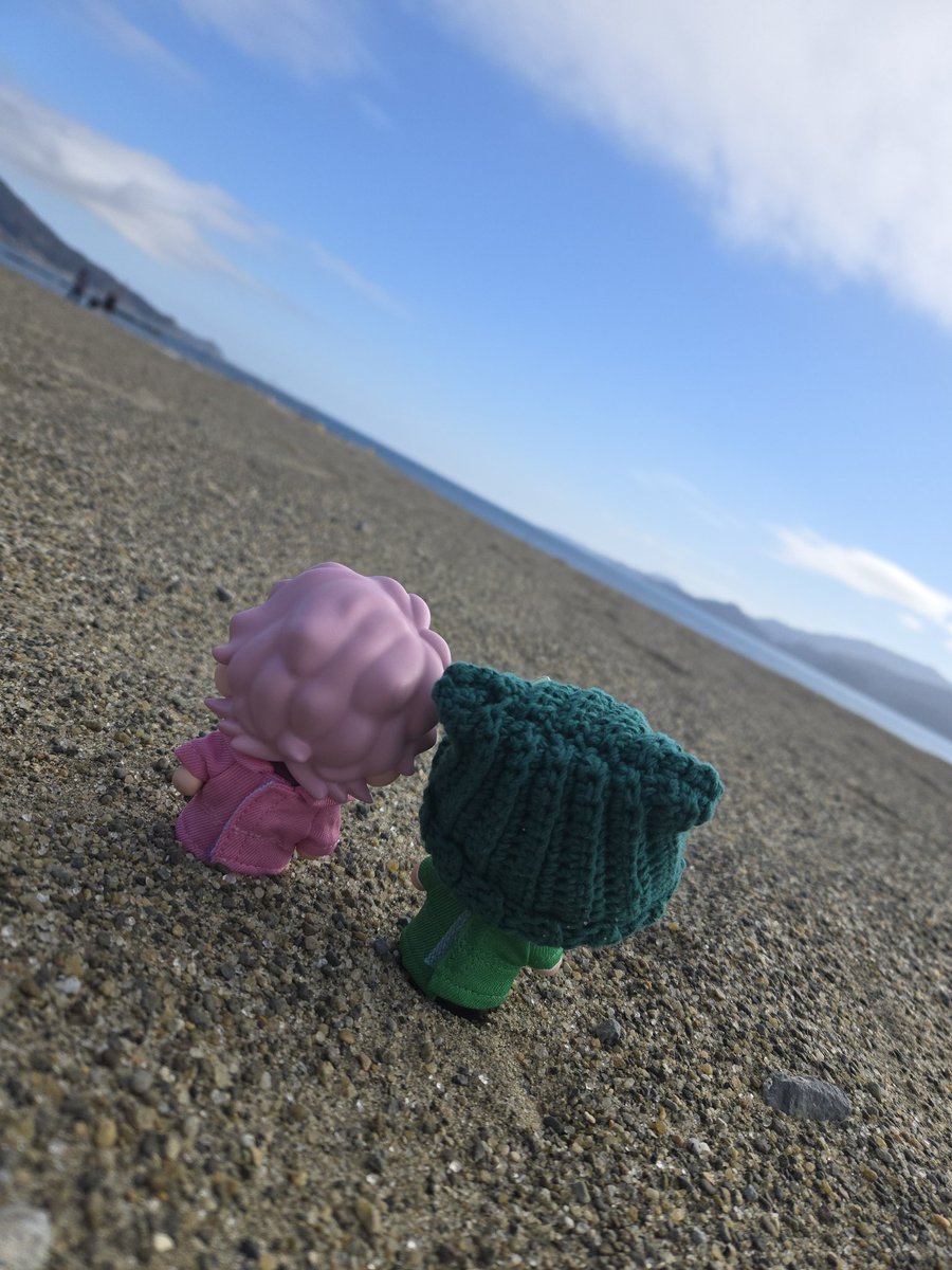 ✮*｡ﾟ💚いづみん💚✮*｡ﾟ tweet media