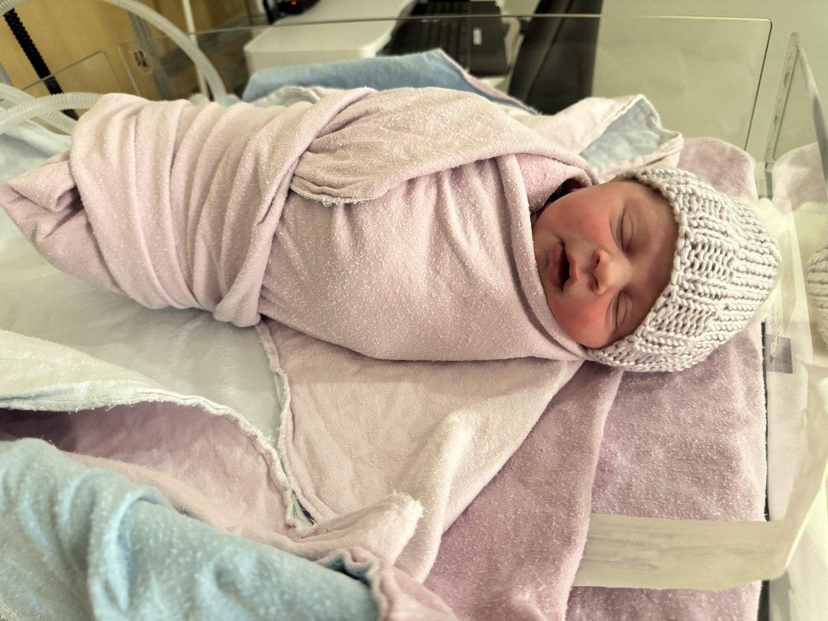 Adam Wathan tweet media