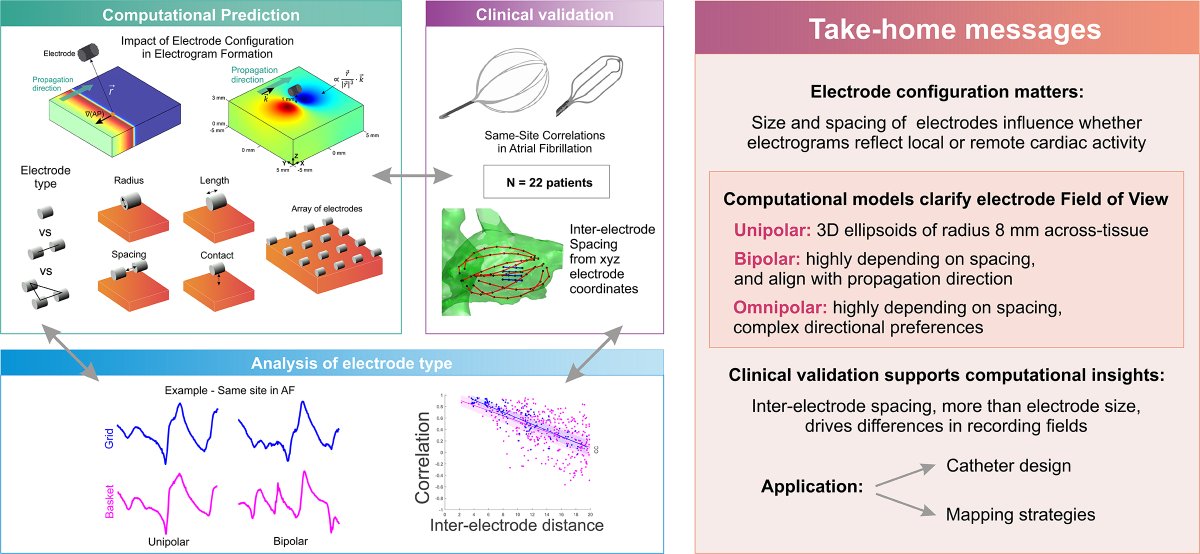CoMMLabUV's tweet photo. 🚀 New in Circ: Arrhythmia & Electrophysiology (@AHAScience)
Electrode configuration matters, and clinical validation supports our computational insights. 🙌🏽
🔗 https://t.co/A4leASrgIJ
👏🏽 @MRodrigo_cardio @sruiperez98 @prash030 @PhoenixFeng5 @S_NarayanMD
#AF #CardiacMapping https://t.co/qkTbaVOnqB