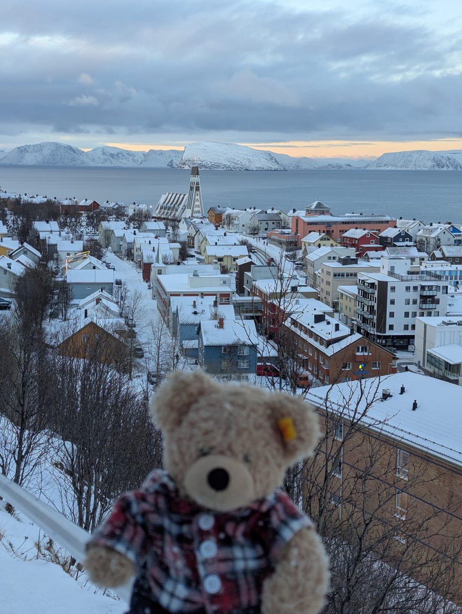 FlynnTheBear's tweet photo. It's too icy climbing up this path, however you do get a nice view of Hammerfest with that church from up here. #Flynn #FlynnTheBear #Hammerfest https://t.co/RWFBmkxyFj
