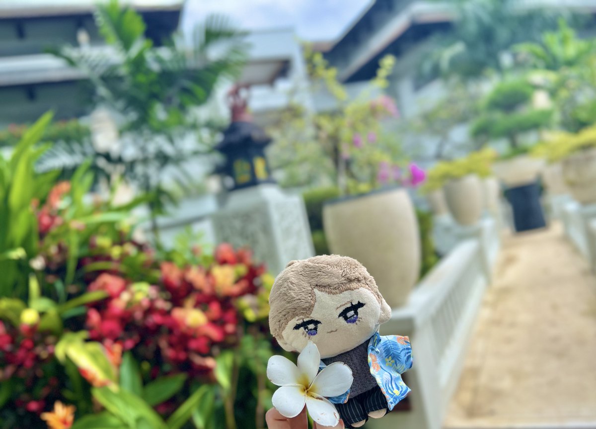 D1chit's tweet photo. まこぬとゆったりバカンス🌴🌺✨ https://t.co/lRgaIgdPKB