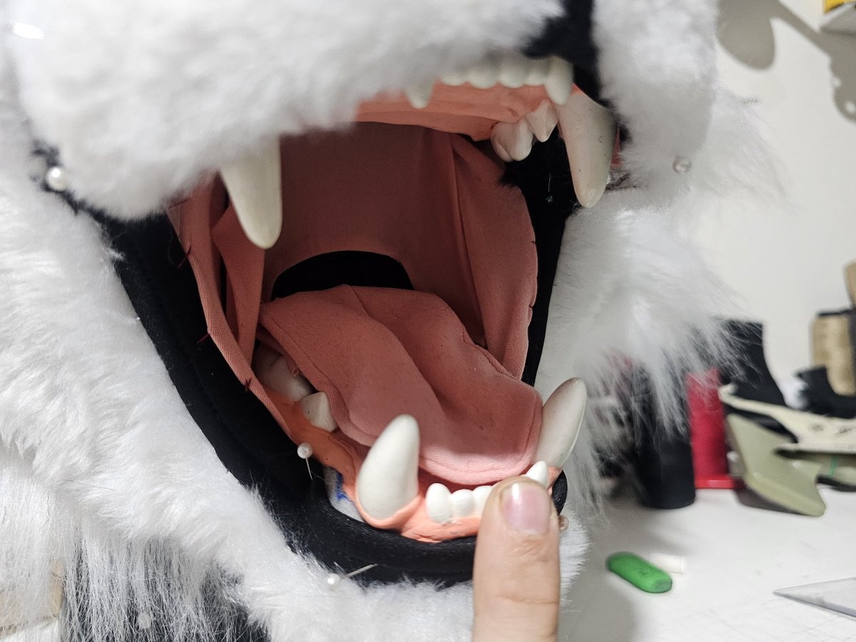 Zeng Tiger 🇧🇷 tweet media