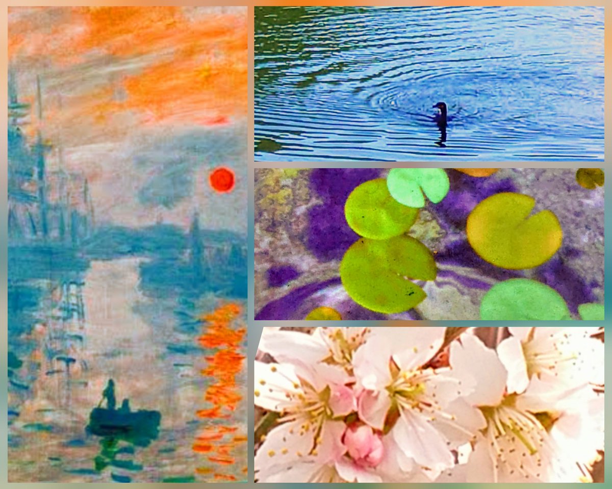 🌺凛 香•｡:°ஐ✧*。(空と陸の間) tweet media