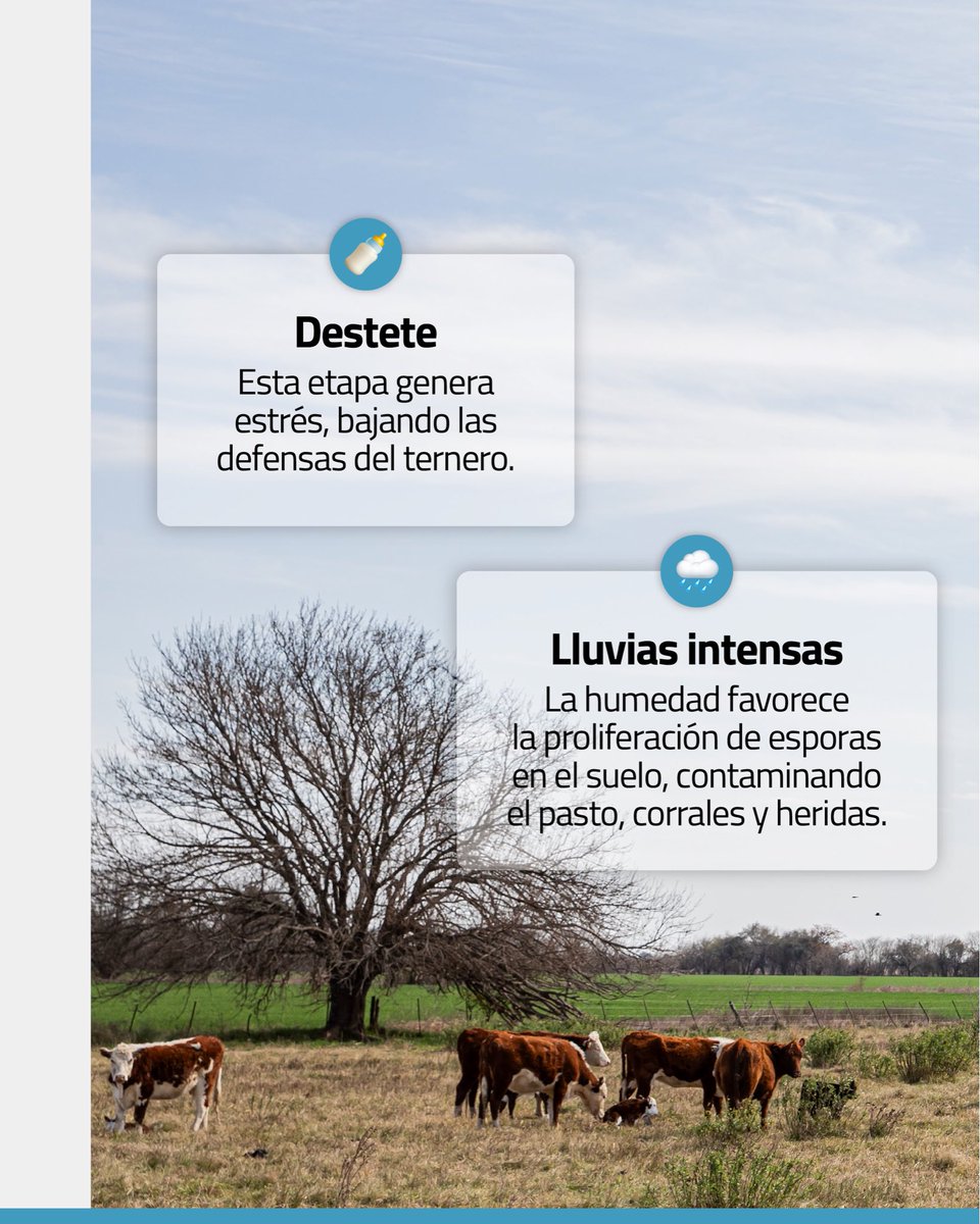 Laboratorio CDV tweet media