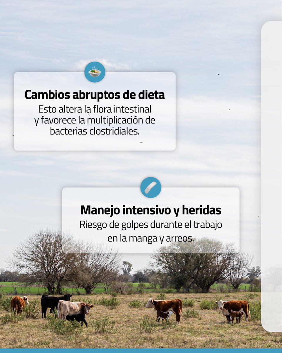 Laboratorio CDV tweet media