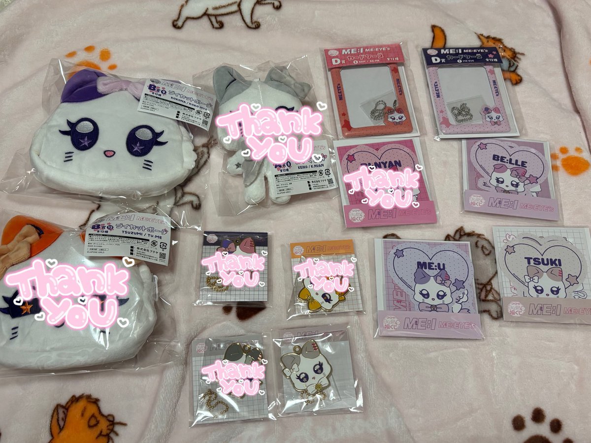 野良猫 tweet media