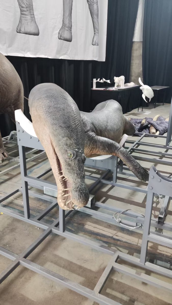 ren_wenyu's tweet photo. I am honored that some of the paleontological models I helped create will be exhibited at the Abu Dhabi’s Natural History Museum. These include: Nothosaurus, Moschorhinus kitchingi, Thrinaxodon Liorhinus, Galesaurus, and Kitchingorum. https://t.co/Z0RAgrwGpY