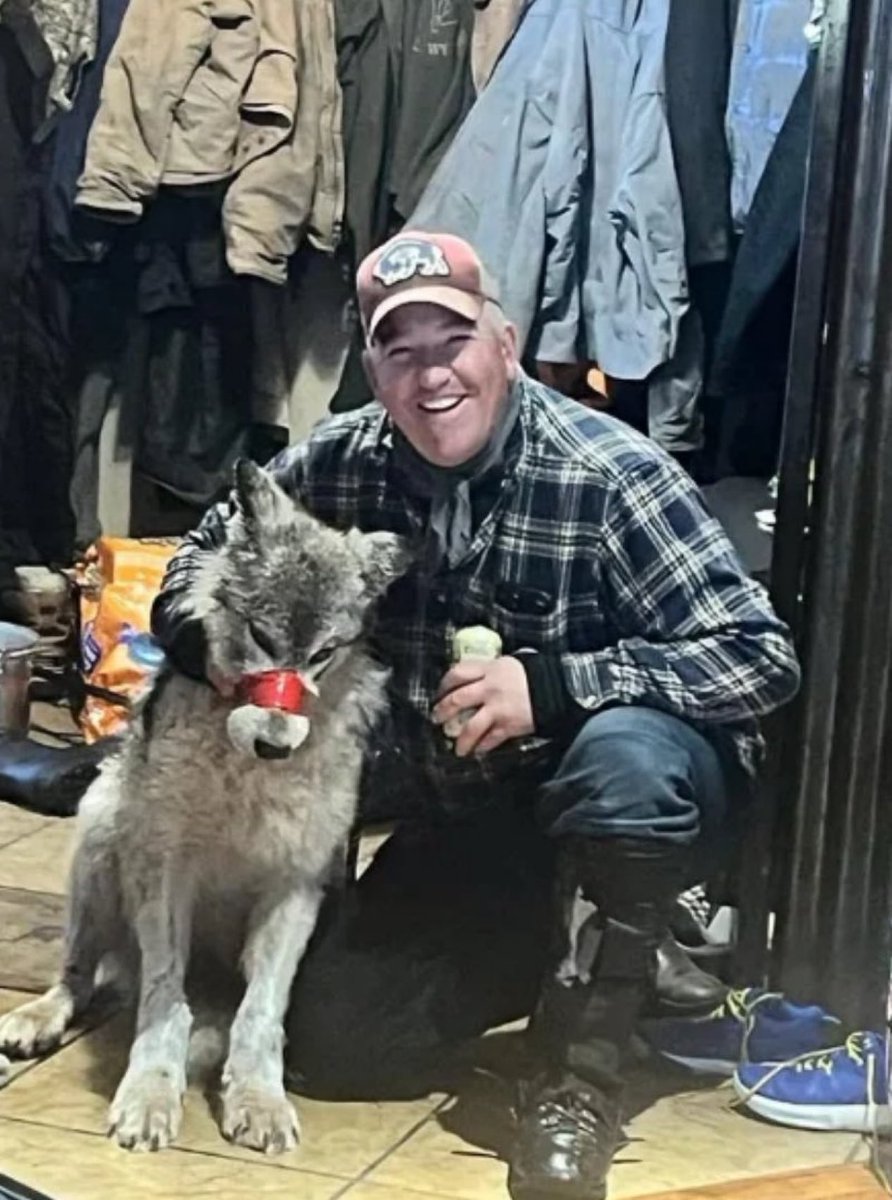 “Cody Roberts”:
Porque esta basura atropelló a un cachorro de lobo con su moto de nieve, arrastró al cachorro moribundo hasta el bar de su tía y la torturó durante horas mientras estaba borracho luego le disparó al lobo en la cabeza, maldita sea la justicia que no lo condenó