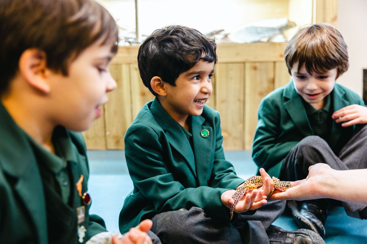 Bede's Prep tweet media