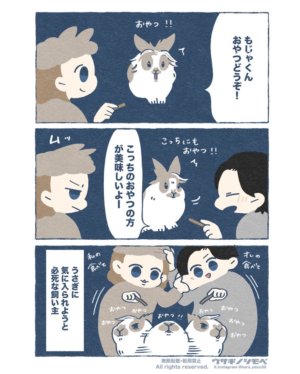 ウサギノシモベ (@hara_peco30) / Posts / X