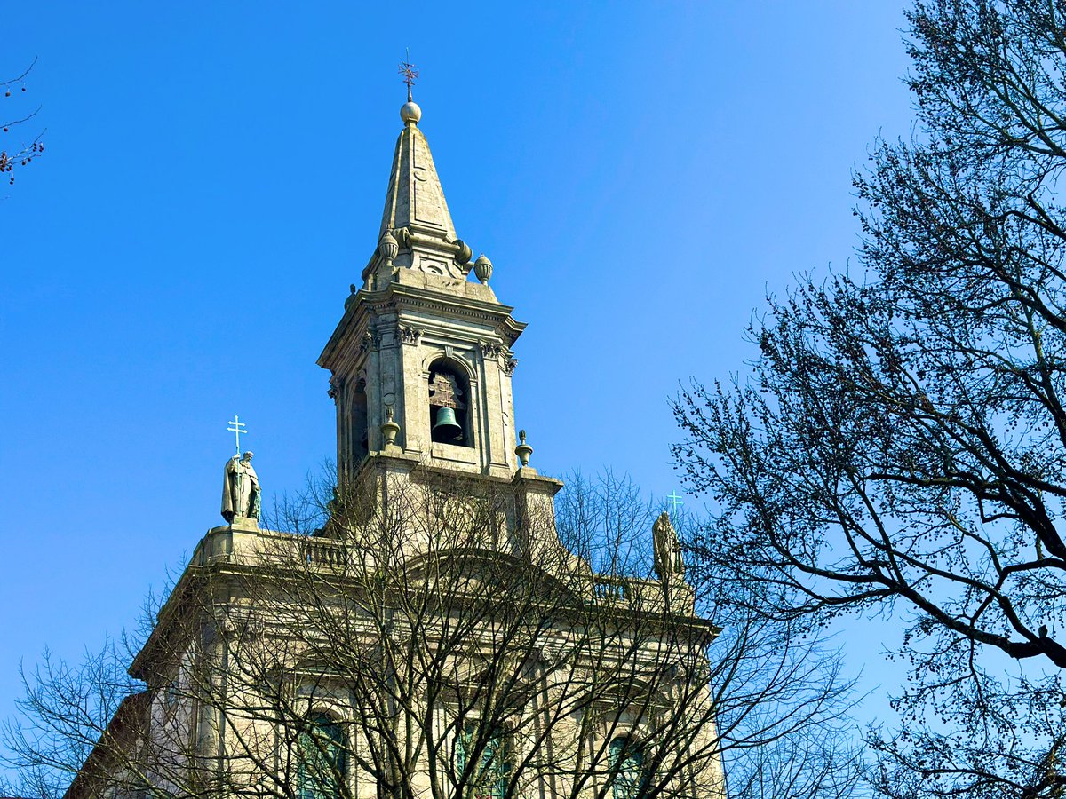 長瀞🌻 tweet media