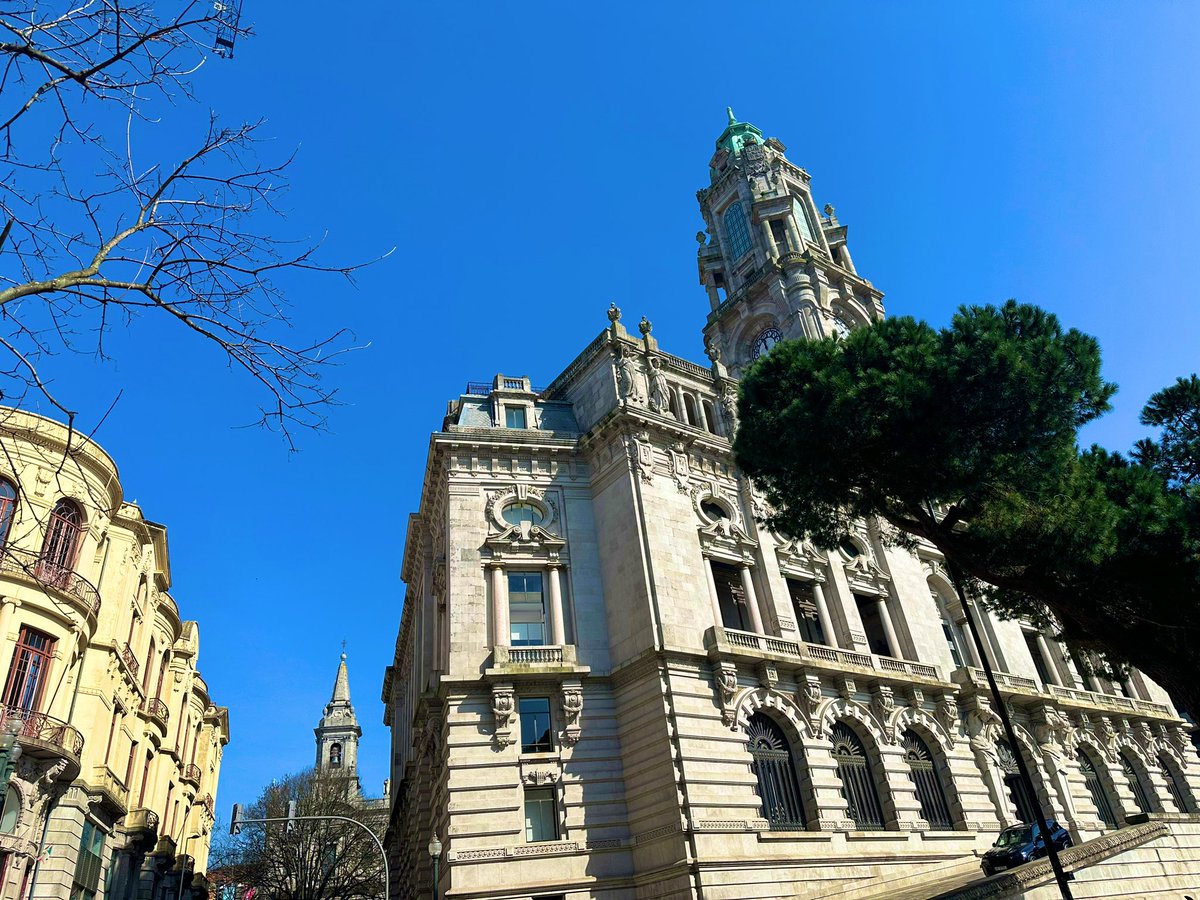 長瀞🌻 tweet media