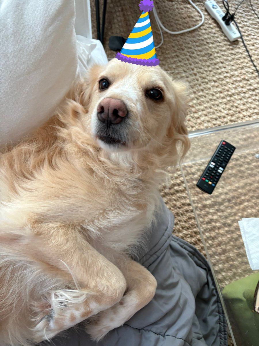 Lady Tara tweet media