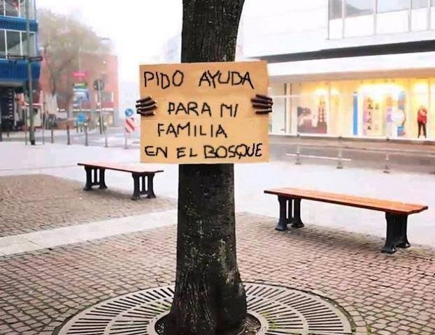 🌳✨ ¡Escucha el mensaje del bosque!