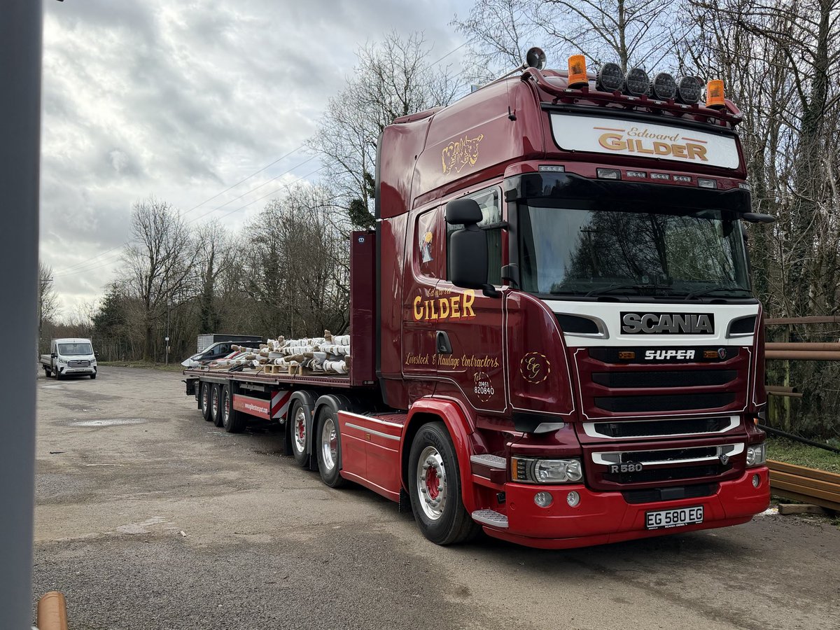 Edward Gilder tweet media