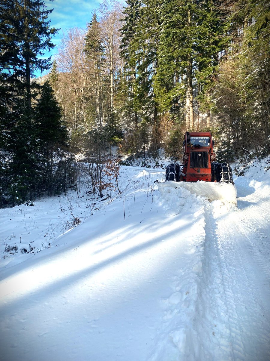 RNP_Romsilva's tweet image. ❄📸 Drumurile forestiere administrate de Ocolul Silvic Vintilă Vodă din cadrul Direcției Silvice Buzău sunt deszăpezite în această perioadă de către colegii noștri

#romania #România #forestry #Romsilva #forests #Păduri #Pădure #silvicultura