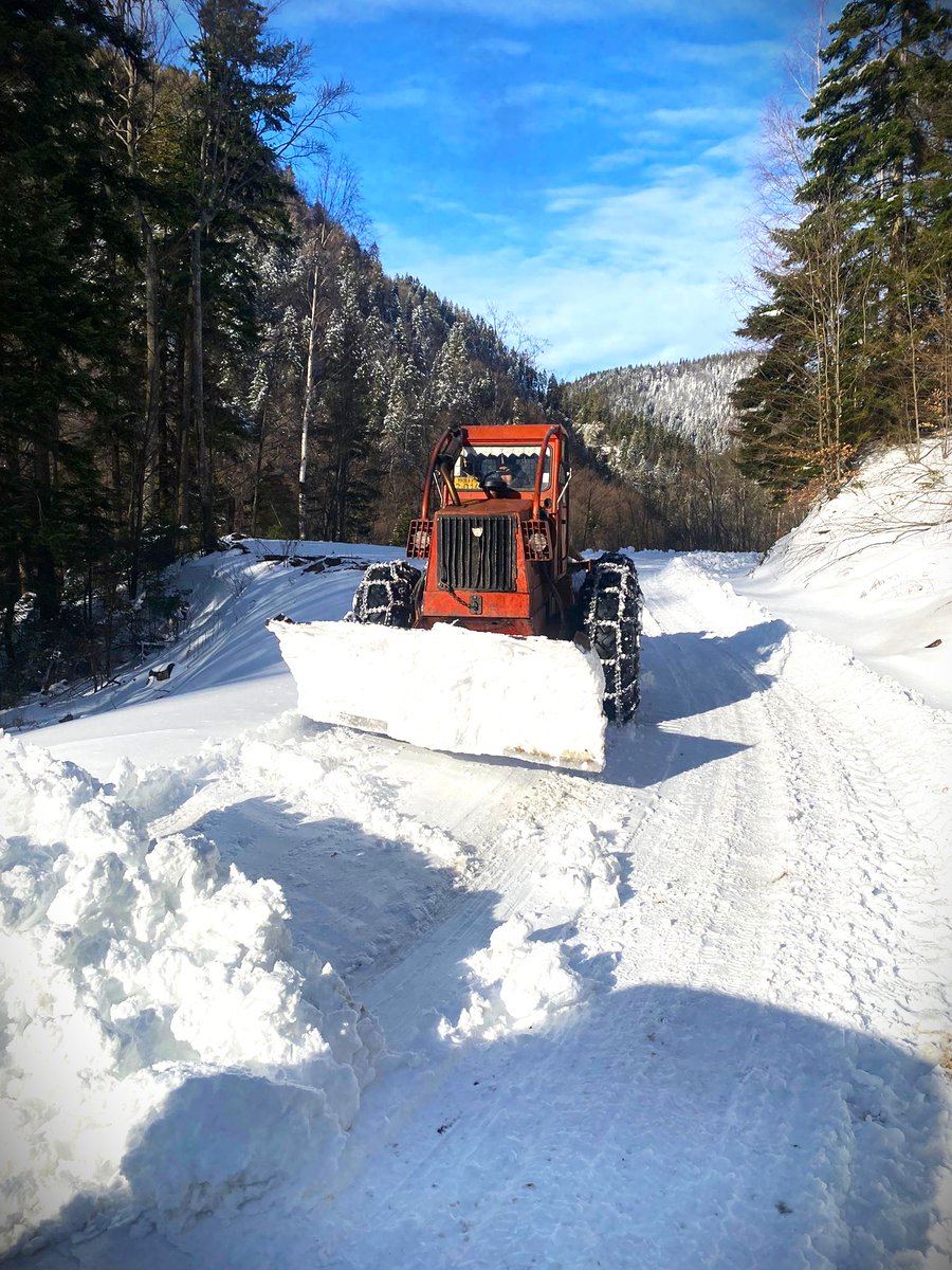 RNP_Romsilva's tweet image. ❄📸 Drumurile forestiere administrate de Ocolul Silvic Vintilă Vodă din cadrul Direcției Silvice Buzău sunt deszăpezite în această perioadă de către colegii noștri

#romania #România #forestry #Romsilva #forests #Păduri #Pădure #silvicultura