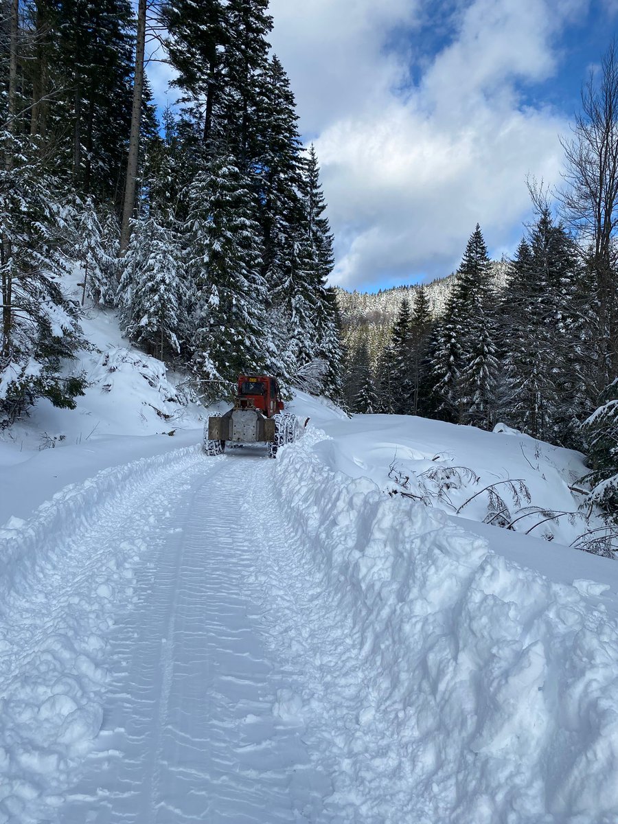 RNP_Romsilva's tweet image. ❄📸 Drumurile forestiere administrate de Ocolul Silvic Vintilă Vodă din cadrul Direcției Silvice Buzău sunt deszăpezite în această perioadă de către colegii noștri

#romania #România #forestry #Romsilva #forests #Păduri #Pădure #silvicultura