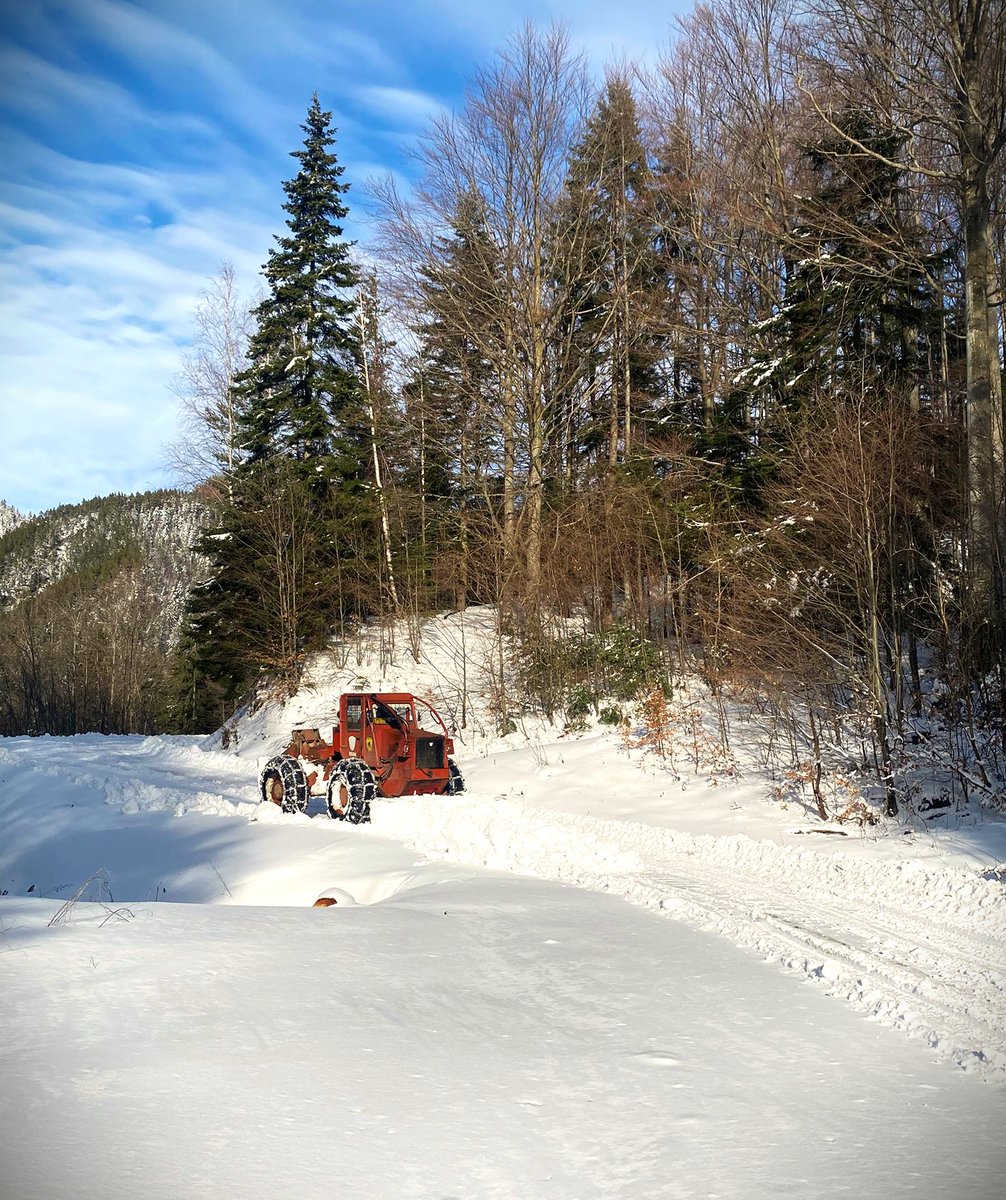 RNP_Romsilva's tweet image. ❄📸 Drumurile forestiere administrate de Ocolul Silvic Vintilă Vodă din cadrul Direcției Silvice Buzău sunt deszăpezite în această perioadă de către colegii noștri

#romania #România #forestry #Romsilva #forests #Păduri #Pădure #silvicultura