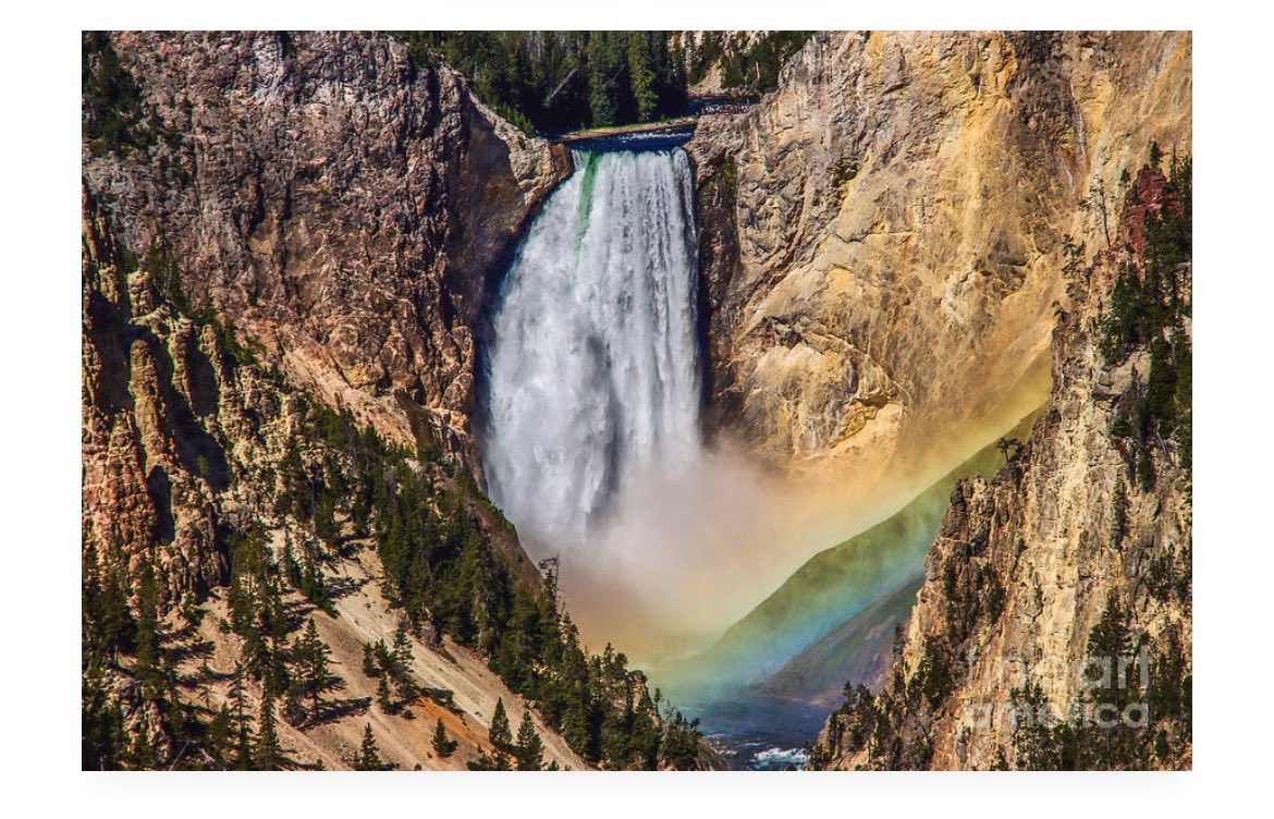 Saving Memories by Making Memories tweet media