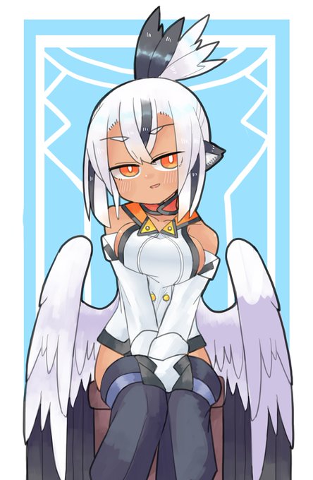 2月21枚目!
ヘビクイワシのシルトちゃ! 