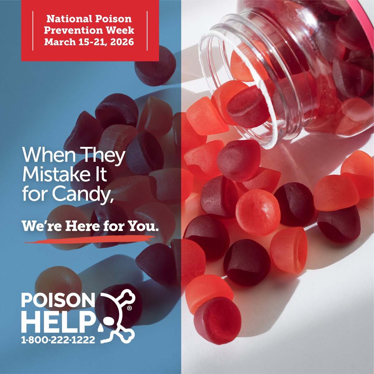 GA Poison Center tweet media