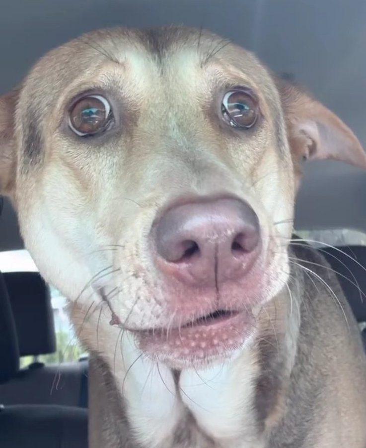 David Atenas tweet media