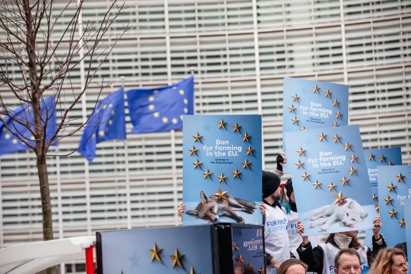 Respect for Animals tweet media