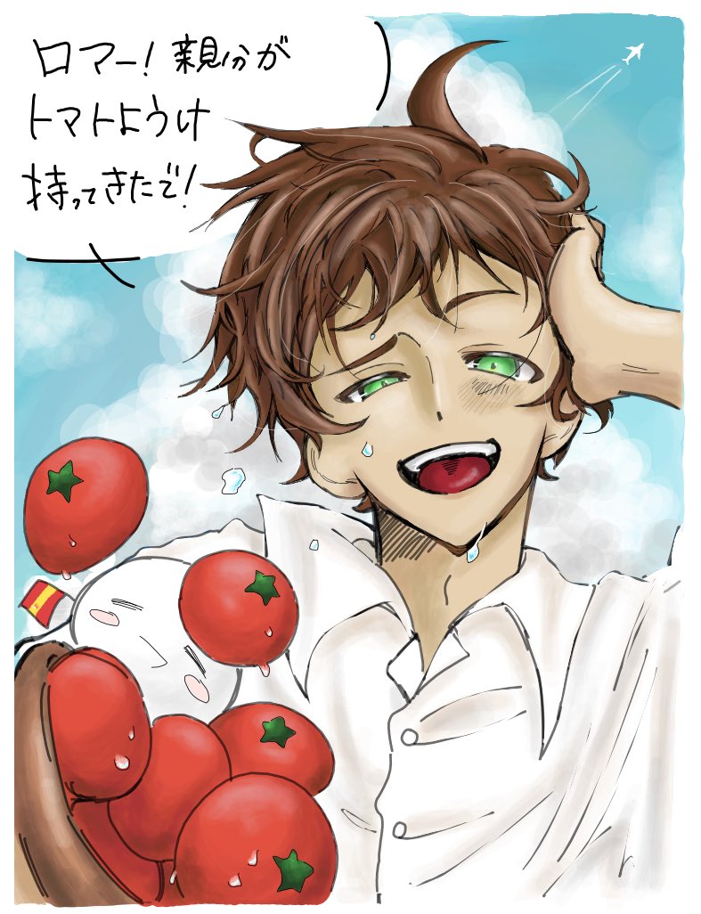 🍅  #aph  #ヘタリア