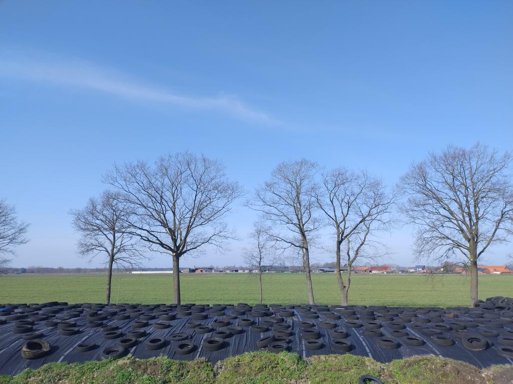 KatrienWens's tweet photo. Poppel, 12u40 #vrtweer https://t.co/dZ1xWiaYsn