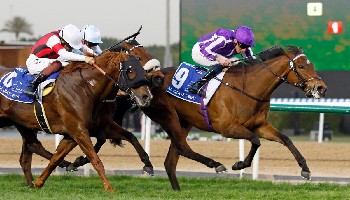 Tattersalls tweet media