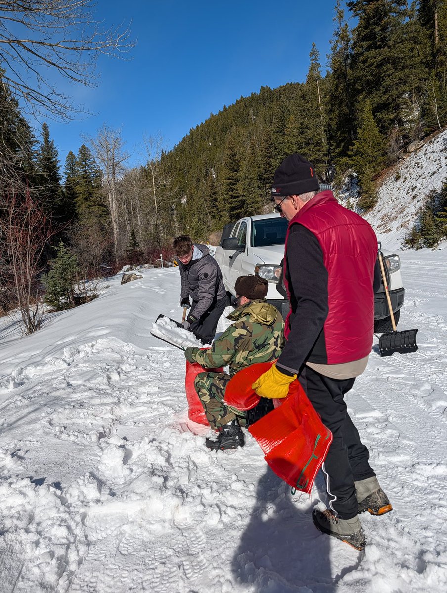 Chaim Bruk tweet media