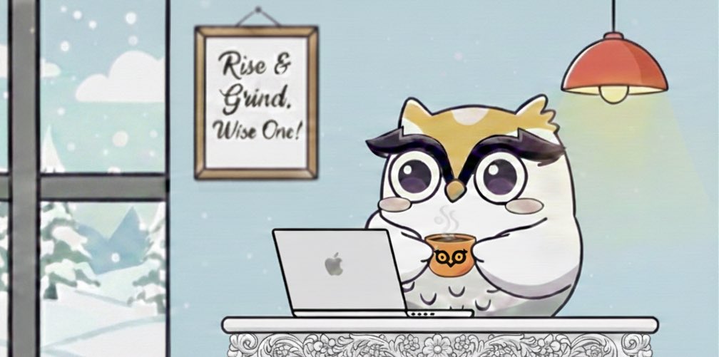 Owlto Finance(🦉💛🦉) tweet media