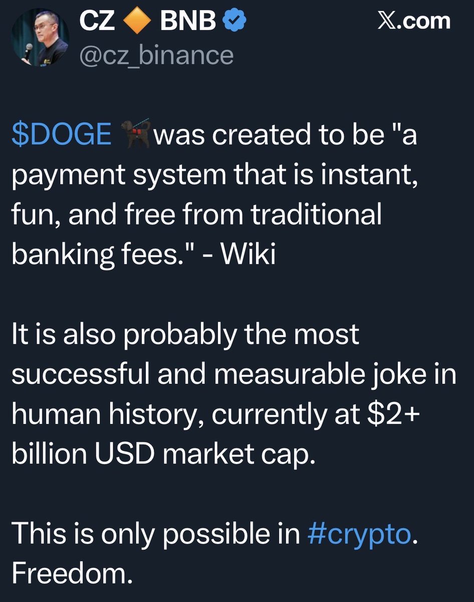 dogegod tweet media