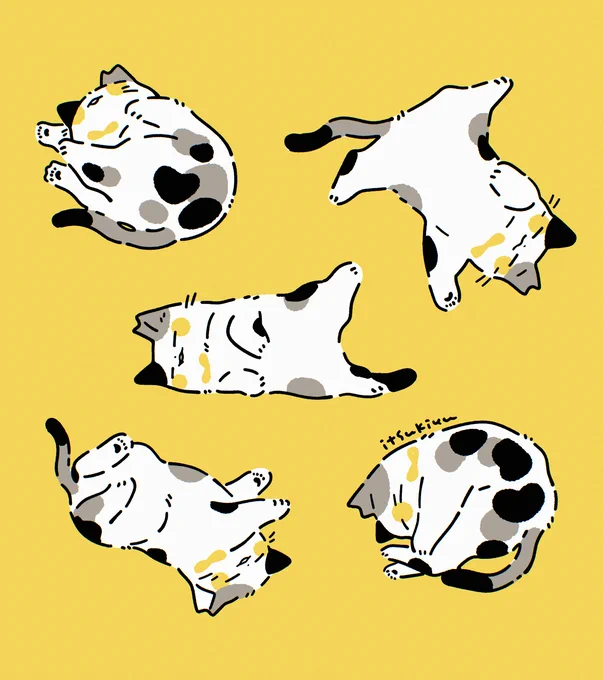 ネムネムねこ