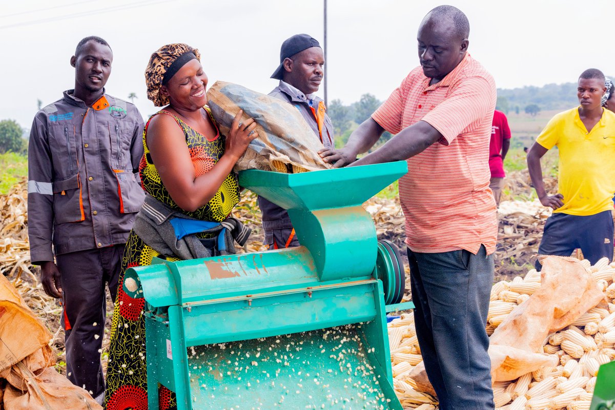 Rwanda Agriculture & Animal Resources Devpt Board tweet media