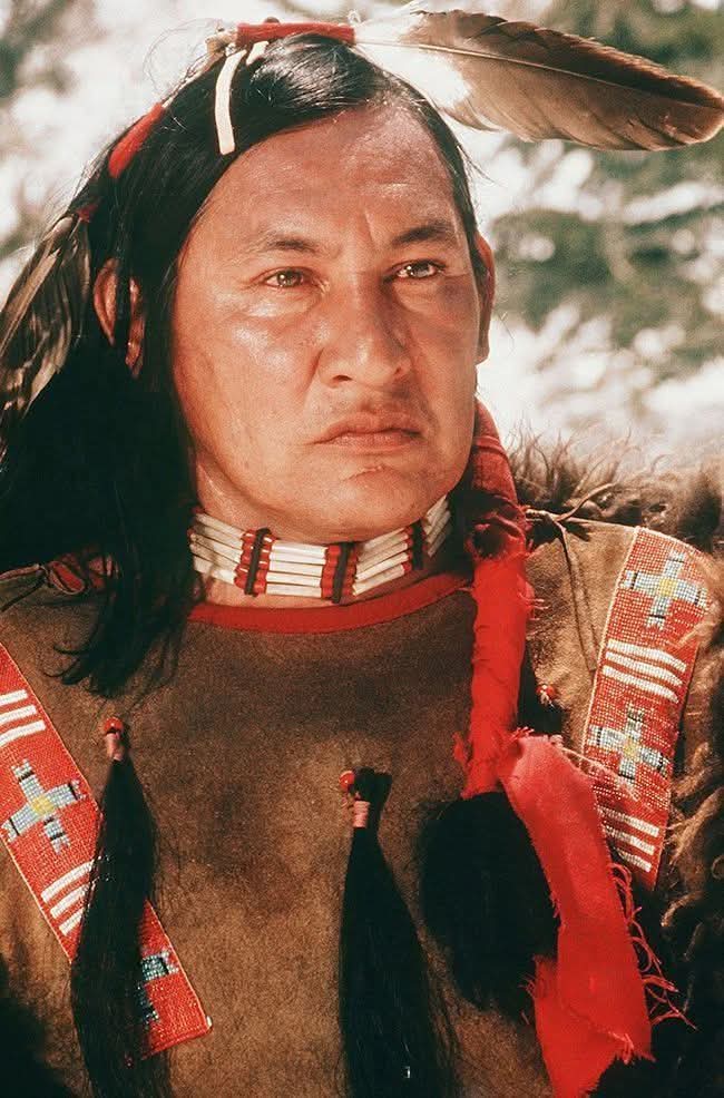 NativeAmerican tweet media