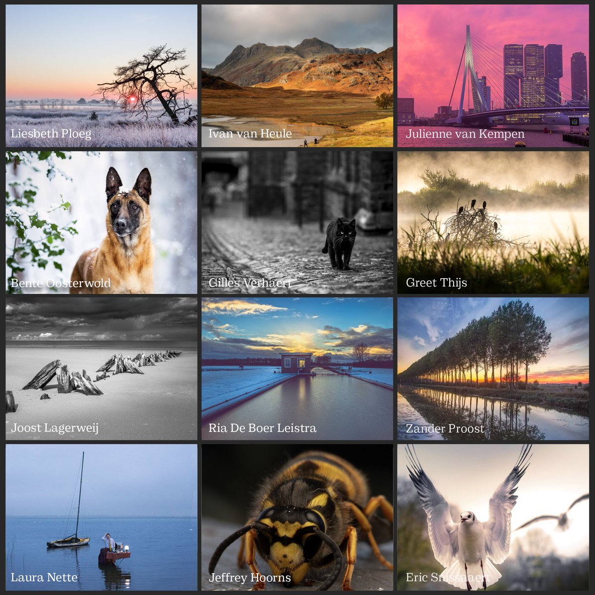 DIGIFOTO Pro tweet media