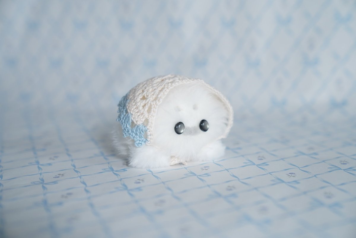 けさぱさふれんず☁️ 次回3月ぬいぬい展 (@minekoamaga) / Posts / X