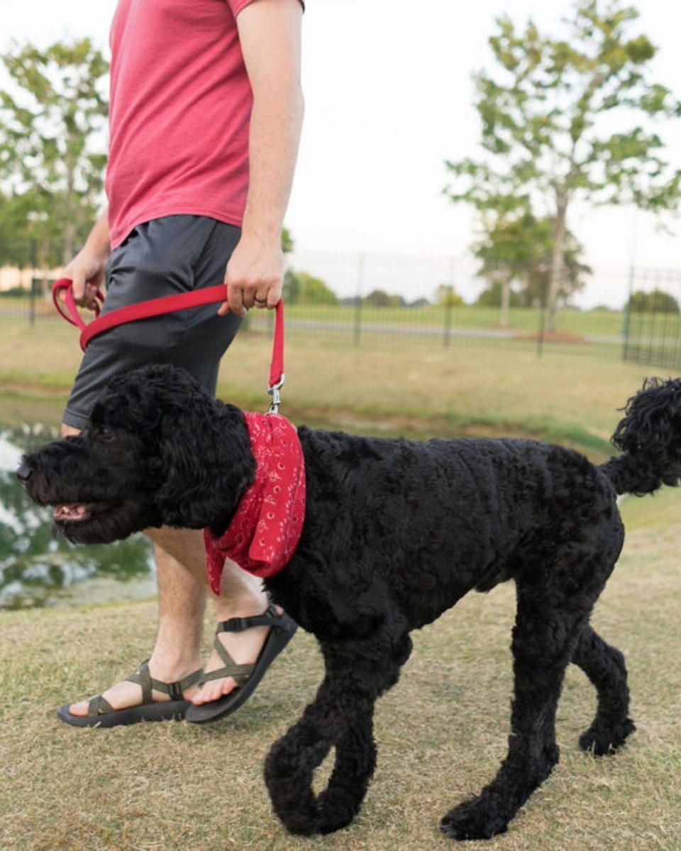 Foshee Residential tweet media