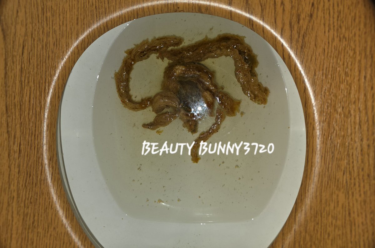 Beautybunnny25's tweet photo. MY CHEEKS 
CLOCKED IN BEFORE I DID‼️
#toilet #toiletkink #dookie #excrement #scatkink #coprophilia #defecation #scatbook #poopfetish #dirtsnake #turd #bathroomplay #coprophagy #dumpingground
DARE TO DIVE DEEPER? 
🫧💦💩🚽
https://t.co/MsNQYNdRrx https://t.co/7k4h9a4z5w