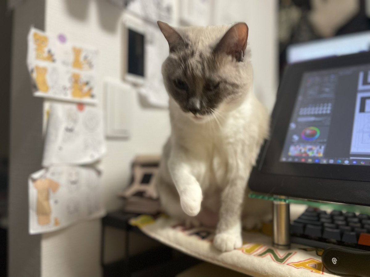 おいもと tweet media