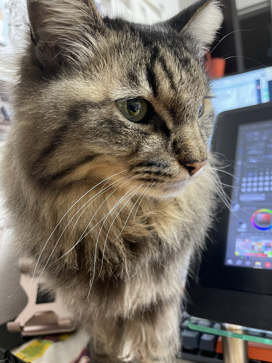 おいもと tweet media